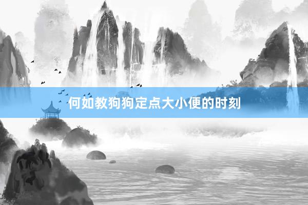 何如教狗狗定点大小便的时刻
