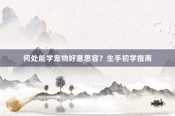 何处能学宠物好意思容？生手初学指南
