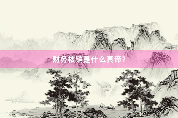 财务核销是什么真谛？